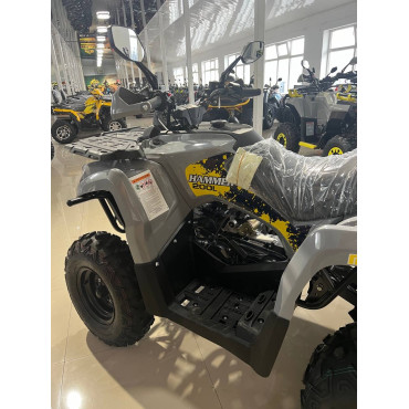 Квадроцикл MIKILON HAMMER 200 Long 
