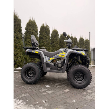 Квадроцикл MIKILON HAMMER 250
